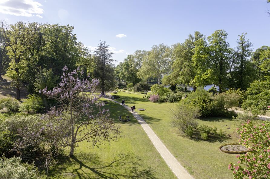 Blick vom Schloss in den Park Babelsberg mit blühenden Bäumen und Sträuchern