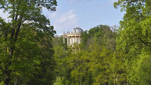 Blick durch den grünen Park auf das Belvedere auf dem Klausberg im Park Sanssouci