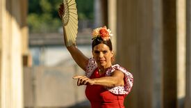 Laura la Risa © a compás / Jannette Kneisel Flamenca – Laura la Risa y Compañía