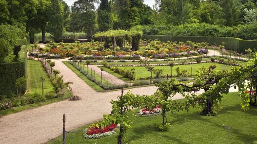 Rosengarten im Park Charlottenhof 