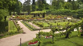 Der Rosengarten von Schloss Charlottenhof – Eine Einladung auf die Reise zur Liebesinsel Cythera