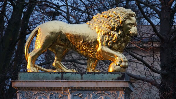 Vergoldeter Löwe der Löwenfontäne, die vor Schloss Glienicke steht