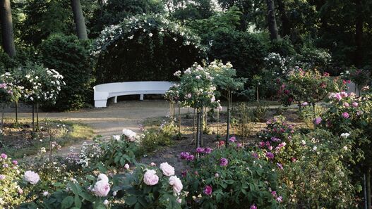 Blick über blühende Rosen auf eine Marmorbank im Rosengarten