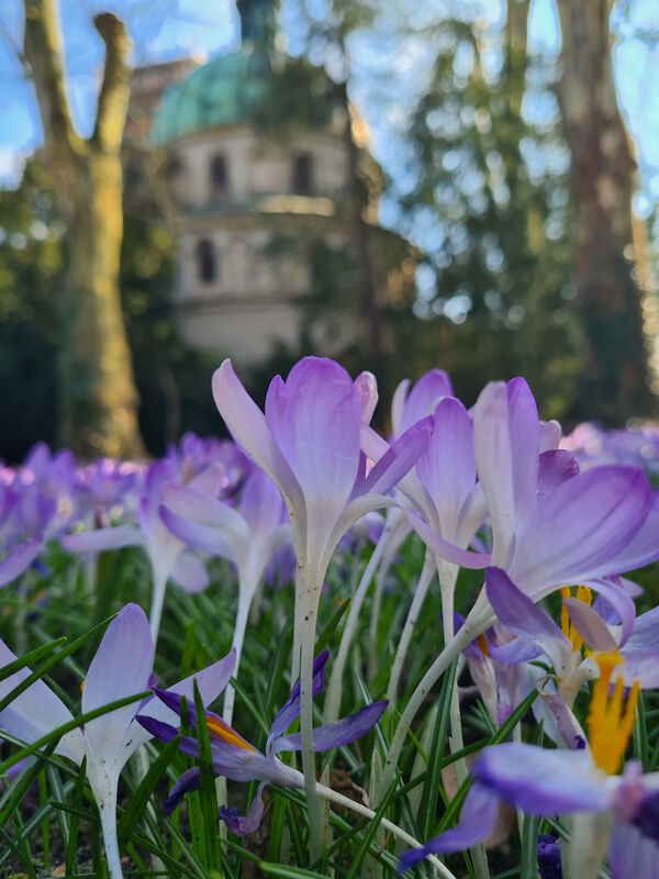 Spring at Sanssouci Park