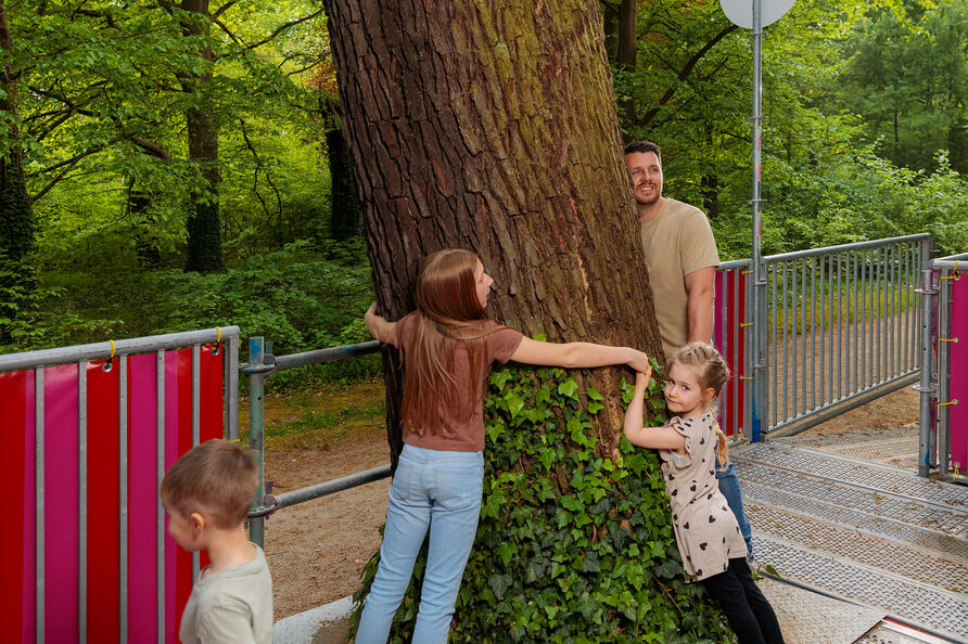 Besucher:innen in der Ausstellung „Re:Generation. Klimawandel im grünen Welterbe – und was wir tun können“, Zwei Kinder und ein Mann umarmen einen Baum