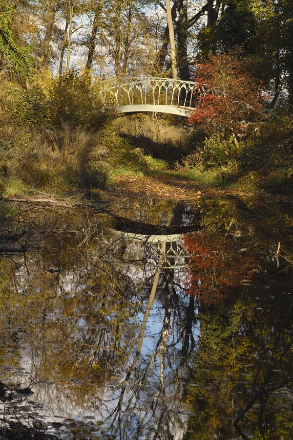 Blick zur Gotische Brücke auf der Pfaueninsel im Herbstwald