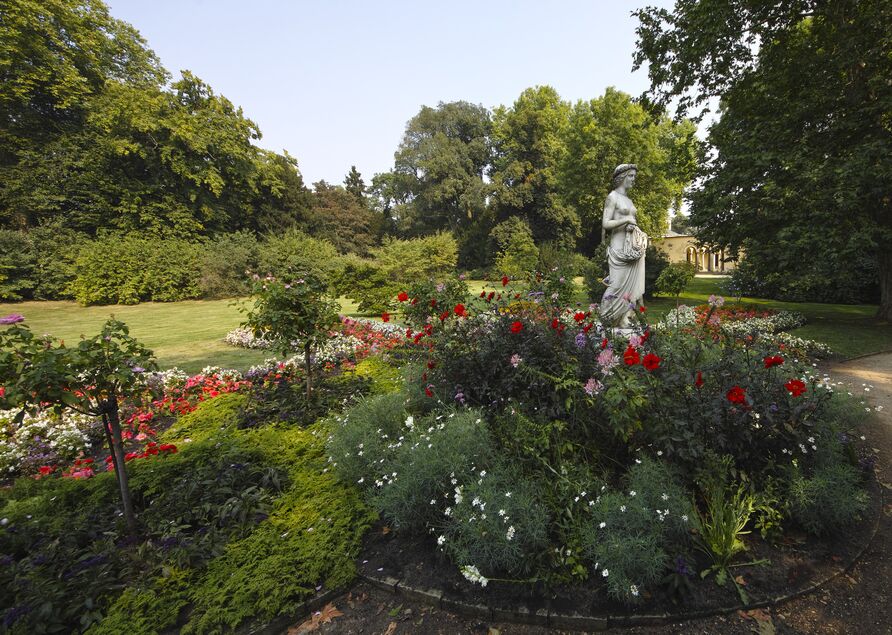 Blütenmeer im Marlygarten im Potsdamer Park Sanssouci