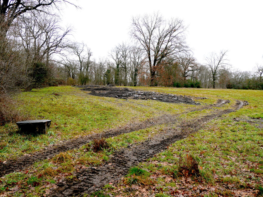 Baumschulgelände am Ruinenberg