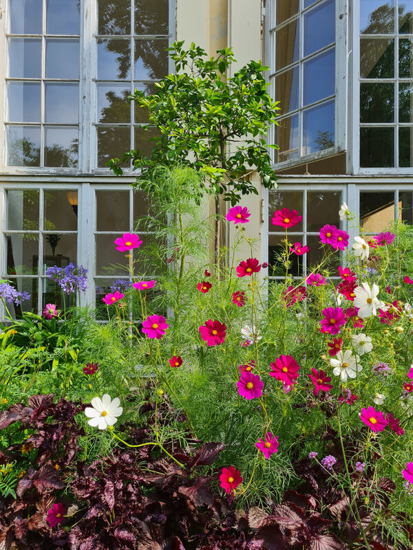 An der Orangerie im Neuen Garten