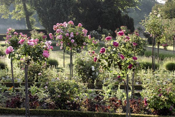 Park Sanssouci, Park Charlottenhof, Rosengarten