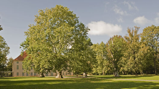 Schlossgarten Schönhausen