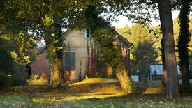 Lustgarten Rheinsberg, Hofgärtnerhaus in der Parkgärtnerei, östlicher Giebel © SPSG / Leo Seidel Heinrichs Salon: Heinrichs Kübelpflanzen