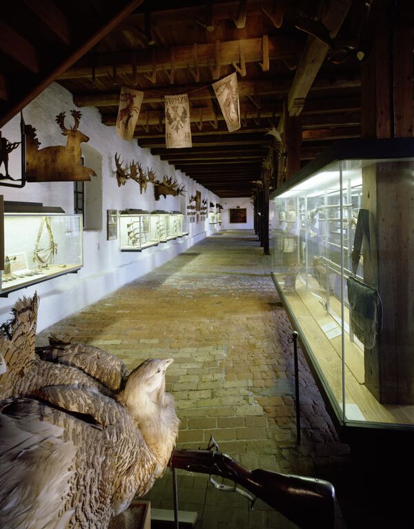 Blick in das Jagdzeugmagazin am Jagdschloss Grunewald mit ausgestopften Tieren und Gewehren