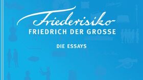 Friederisiko – Die Essays