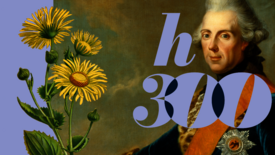 h300 – visual für das 3. Gartenfest Rheinsberg 3. Rheinsberger Schlossgartenfest