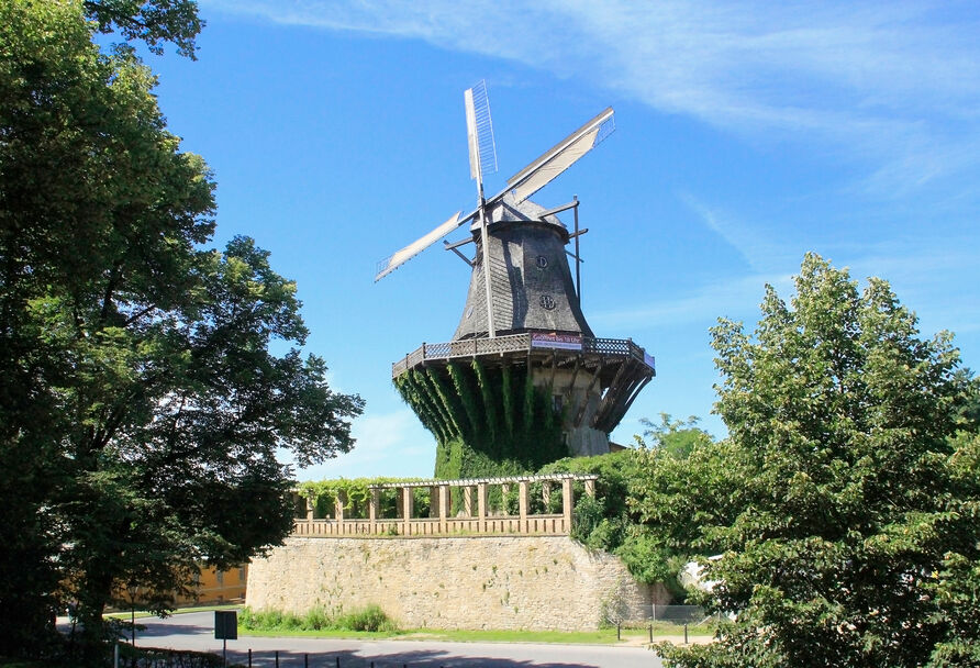 Park Sanssouci, Historische Mühle