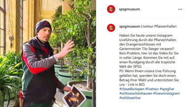Q&A zur Instagram Live Führung in den Pflanzenhallen