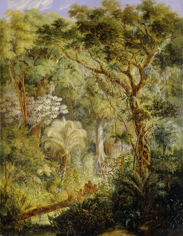 Johann Moritz Rugendas: Brasilianischer Urwald, 1830, SPSG, GK I 1271