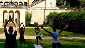 Freiluft-Yoga am Belvedere