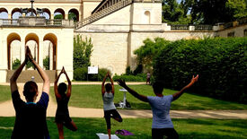 Yoga am Belvedere