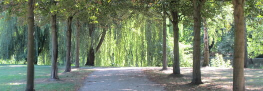 Im Schlossgarten Königs Wusterhausen