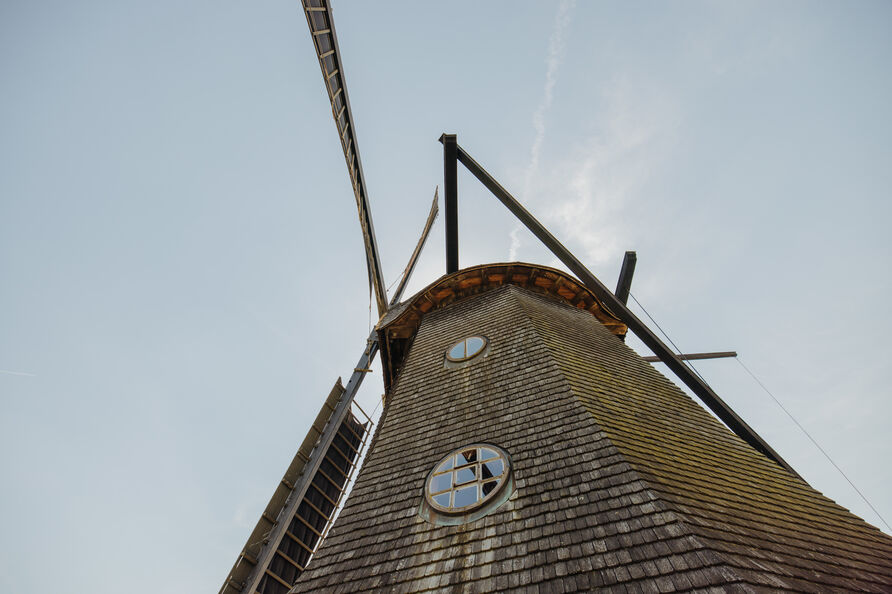 Park Sanssouci, Historische Mühle von unten fotografiert