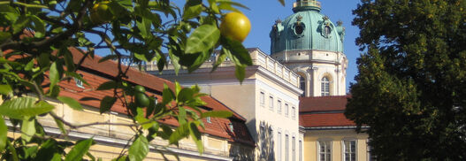 Schlossgarten Charlottenburg, Orangenbäumchen