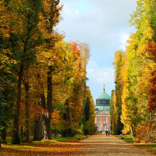 #ParkIsArt – Hauptallee im Park Sanssouci im Herbst: Blick auf das Neue Palais