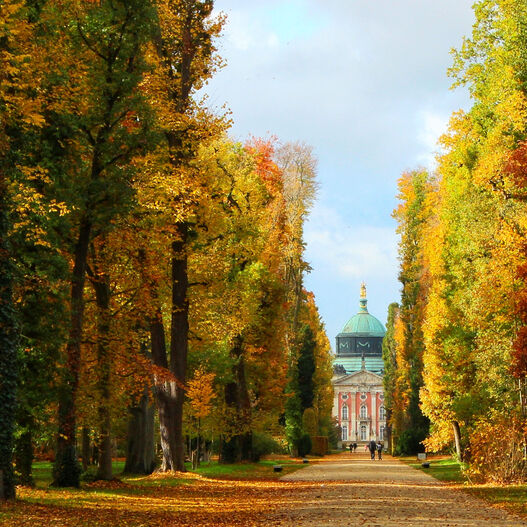 #ParkIsArt – Hauptallee im Park Sanssouci im Herbst: Blick auf das Neue Palais