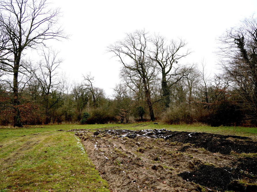 Baumschulgelände am Ruinenberg