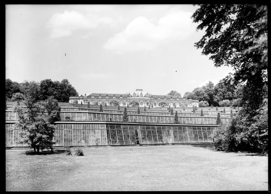 Potsdam, Schloss Sanssouci, Terrassenanlage, Blick von der untersten Terrasse über die anderen zum Schloss, etwas seitlicher Standort mit der Terrassenpflanzung von 1933