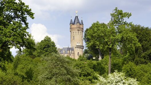 Blick über den grünen Park auf den Flatowturm im Park Babelsberg Potsdam
