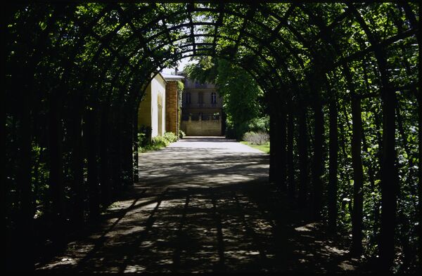 Laubengang im Marlygarten von Park Sanssouci