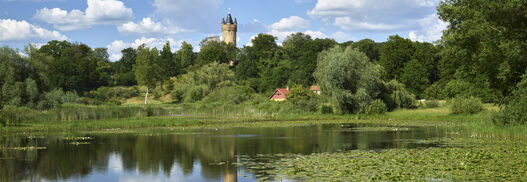 Park Babelsberg, Kindermannsee, im Sommer, im Hintergrund der Flatowturm