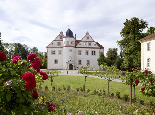 Blick über rot blühende Rosen zum Schloss Königswusterhausen 