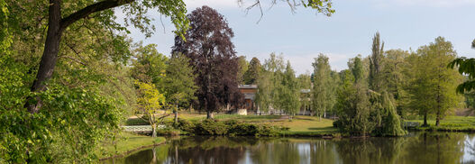 Park Charlottenhof, Blick über den Maschinenteich