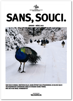 SANS, SOUCI. | Ausgabe 1.2025