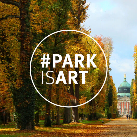 #ParkIsArt – Hauptallee im Park Sanssouci im Herbst