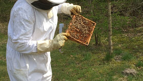 Weltbienentag im Jagdschloss Grunewald