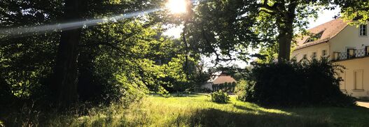 Sonnenlicht scheint durch die Bäume vom Park Sacrow mit dem Schloss Sacrow im Hintergrund