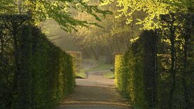 Heckentheater im Lustgarten Rheinsberg © SPSG / Leo Seidel 3. Rheinsberger Schlossgartenfest