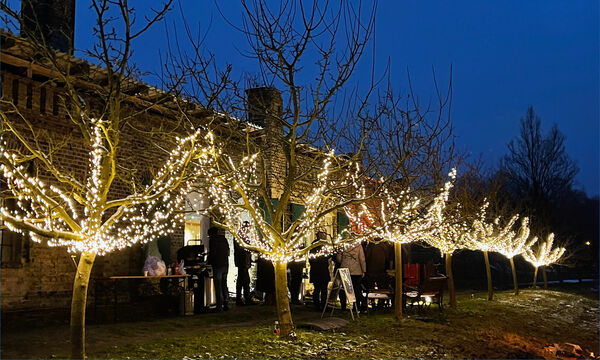 Potsdamer WEINnacht auf dem Königlichen Weinberg