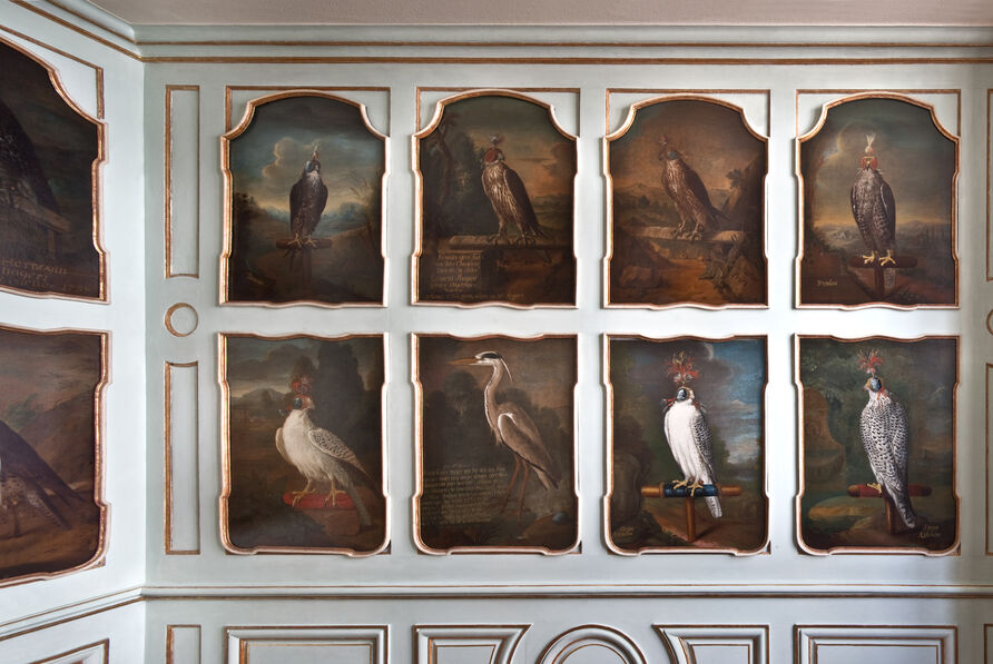 Im sogenannten „Falkenkabinett“ von Schloss Augustusburg in Brühl hängt zwischen den Gemälden der geliebten Greifvögel auch ein Bild eines „fünffach beringten Reihers“. Seine Ringe mit den Namen der Fänger wurden um die Beine gelegt