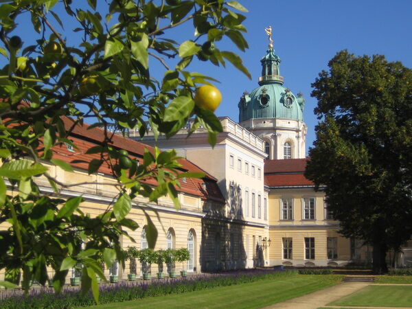 Blick auf das Schloss Charlottenburg, im Vordergrund eine Citrusfrucht am Baum