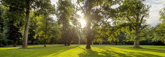 Schlossgarten Schönhausen