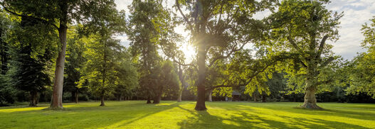 Schlossgarten Schönhausen