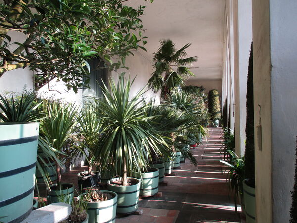 Orangerie im Neuen Garten