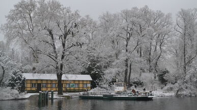 „Die Bäume gewinnen im Winter an Präsenz“