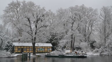 „Die Bäume gewinnen im Winter an Präsenz“